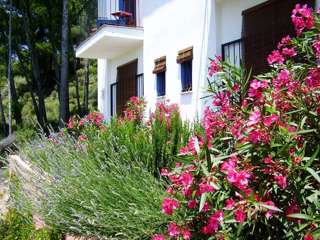 Bed and Breakfast Shariqua (Adults Only) Херика Экстерьер фото